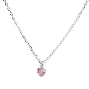 Collar de Plata 925 Diseño Corazón Circón Rosa